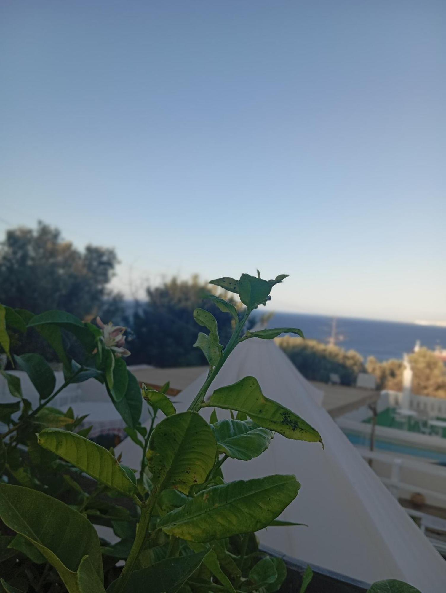 Queens Luxury Glamping Palaiokastro  Exterior photo